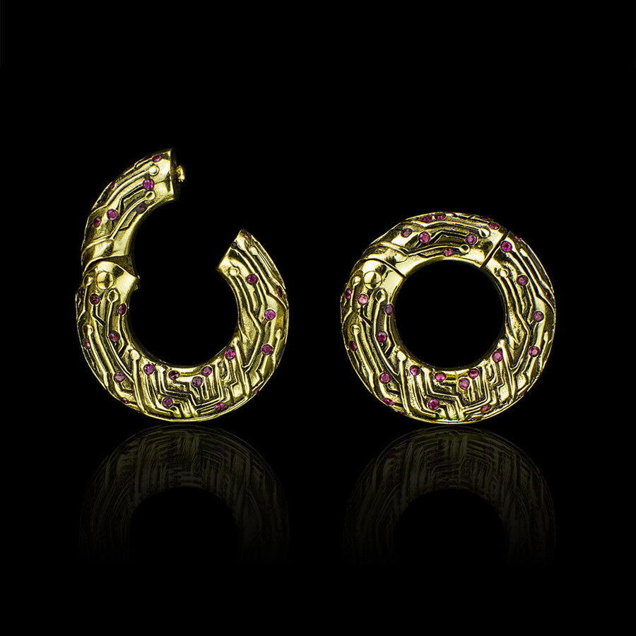 NEURO Circle Zircon Ear Weights