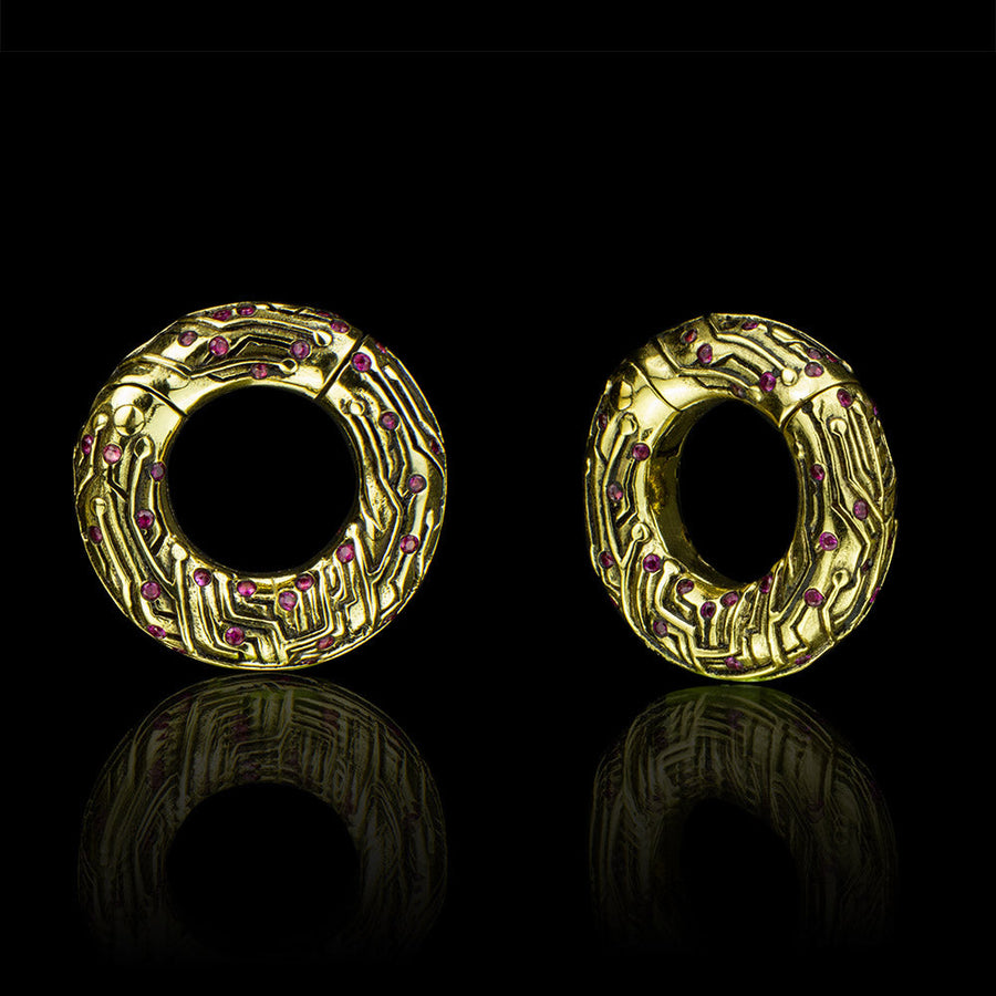 NEURO Circle Zircon Ear Weights